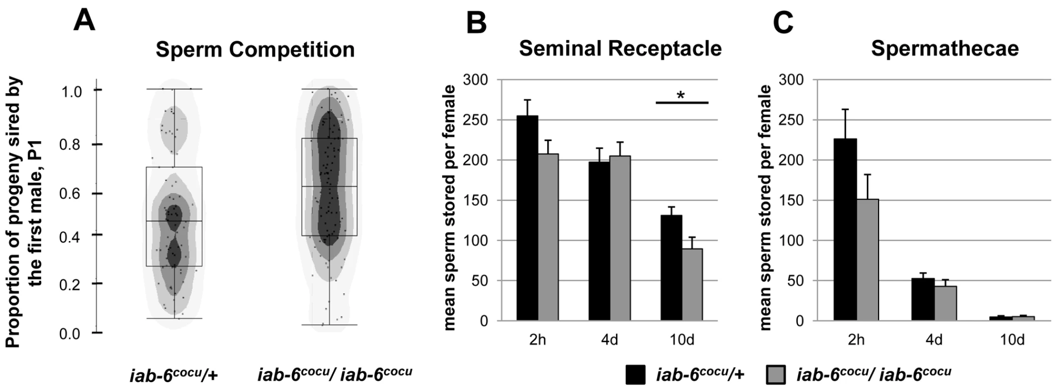 Sperm storage and use by mates of <i>iab-6<sup>cocu</sup></i> or control males.