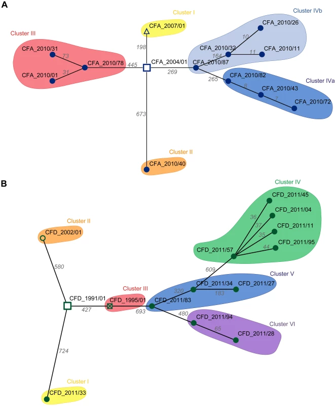 Minimum spanning trees (MSTs) of genomes among CFA and CFD lineages.