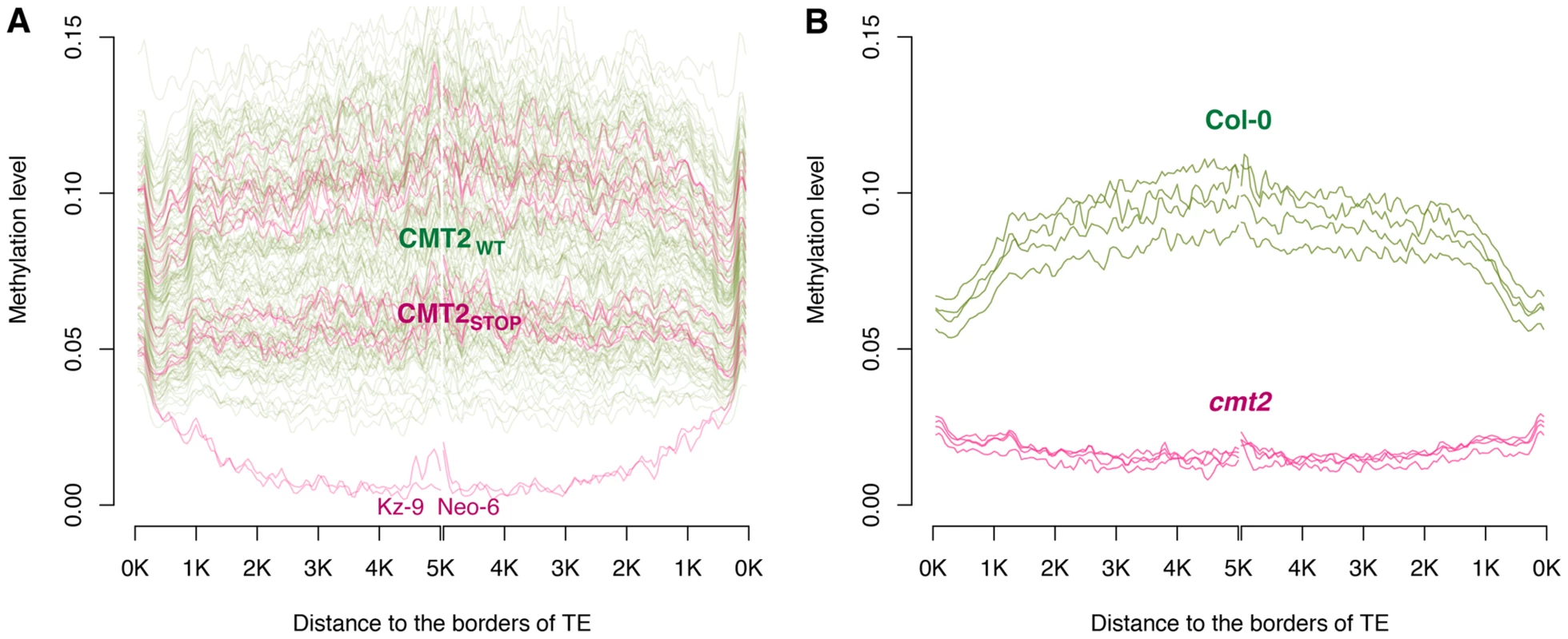 Comparison of CHH methylation patterns inside TE-bodies, (A) between <i>CMT2<sub>WT</sub></i> and <i>CMT2<sub>STOP</sub></i> accessions using the data from <em class="ref">[7]</em>, and (B) between four replicate Col-0 wild-type and <i>cmt2</i> knock-outs from <em class="ref">[24]</em>.
