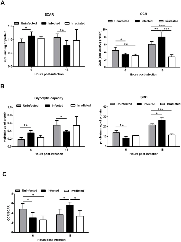 <i>Leishmania infantum</i> modulates host macrophages bioenergetic profile.