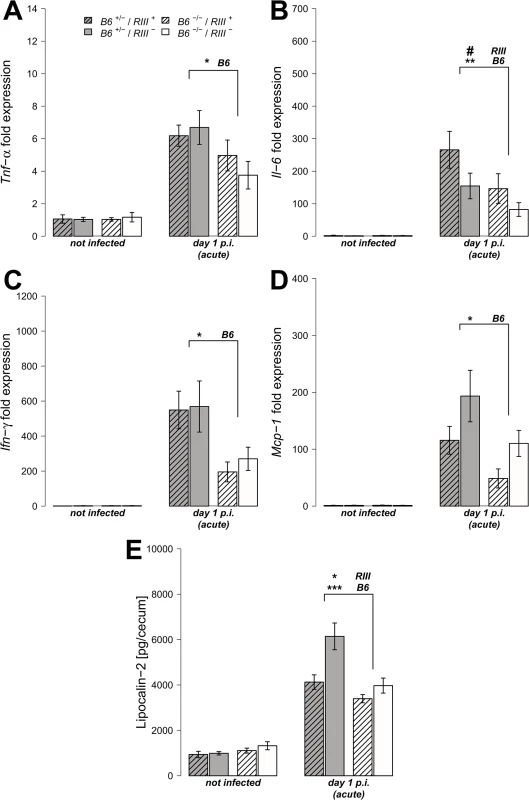 <i>B4galnt2</i>-dependent immune response after <i>S</i>. Typhimurium infection.