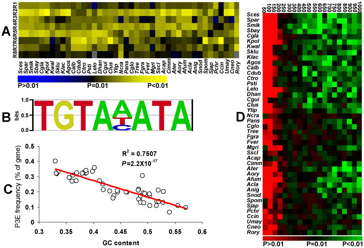 Conservation of the Puf3p regulon in fungi.