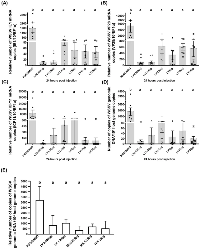 WSSV replication was suppressed when the PI3K-Akt-mTOR pathway was inhibited by LY294002, MK2206 and Torin 1.