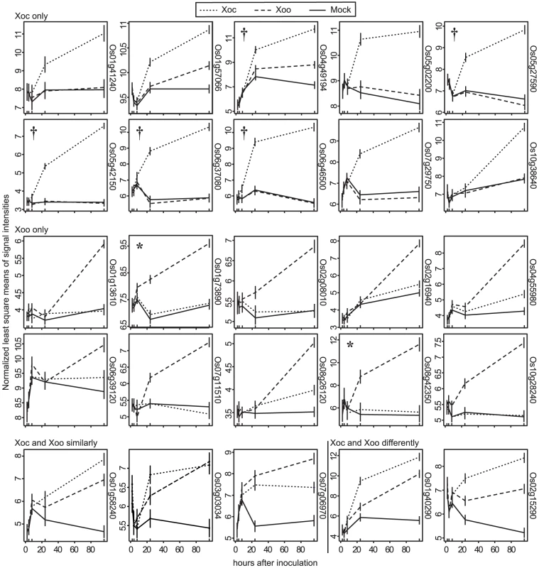Expression patterns of the most significantly differentially expressed rice genes.
