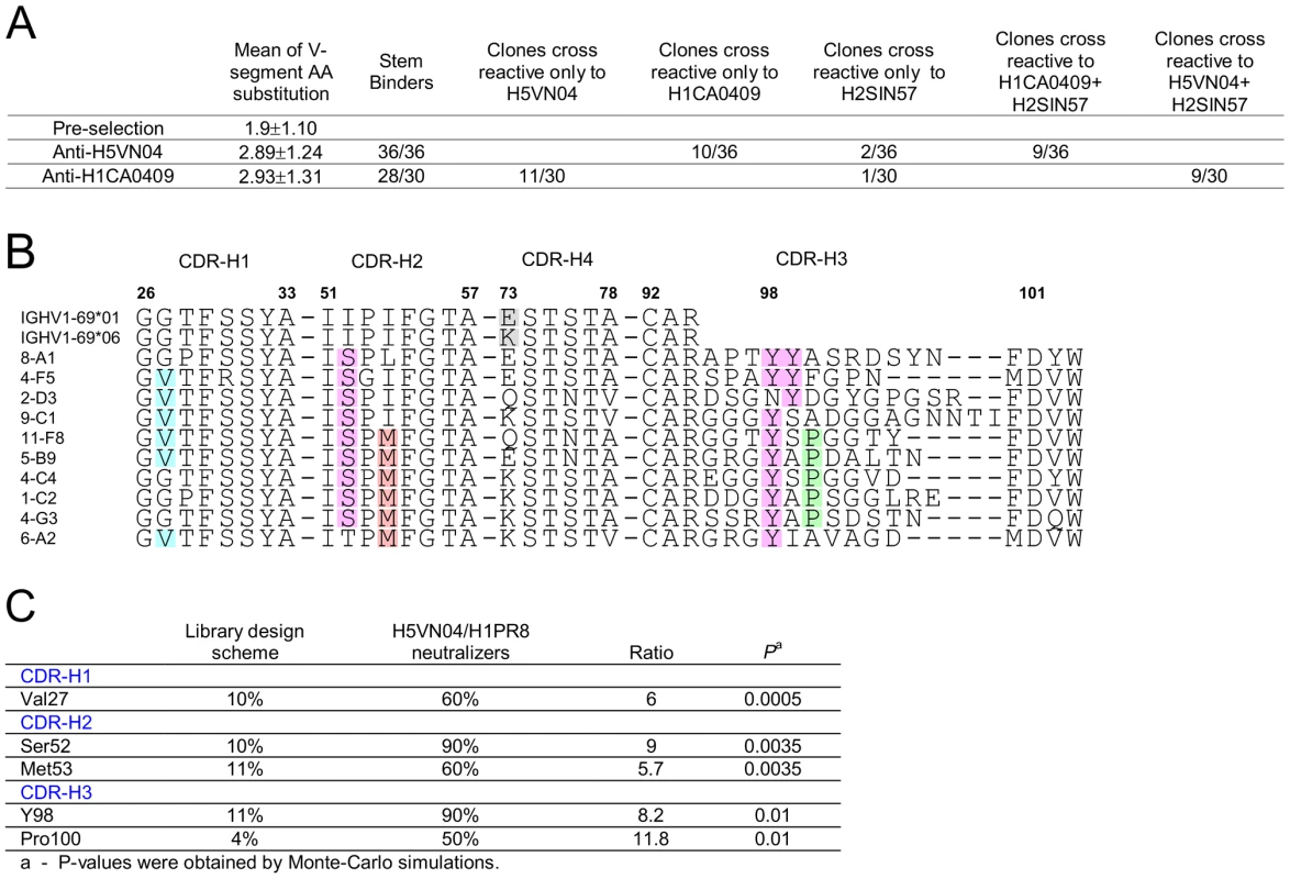 Semi-synthetic HV1-69 phage-Ab library yields potent anti-H5VN04/H1CA0409 Abs characterized by a minimal V-segment amino acid substitutions.