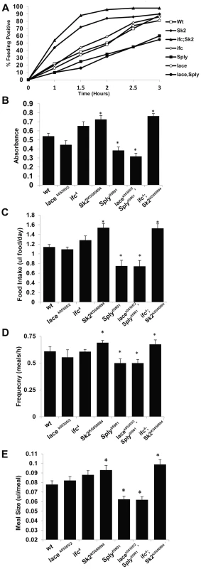 SL Metabolism and feeding behavior.
