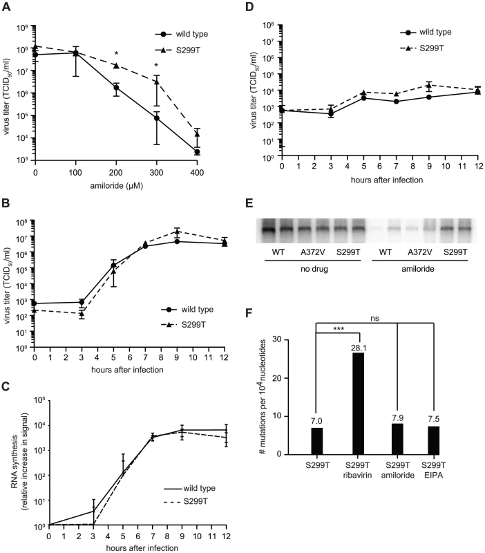 Another polymerase variant, S299T, is resistant to both the inhibitory effect of amiloride on RNA synthesis as well as its mutagenic activity.