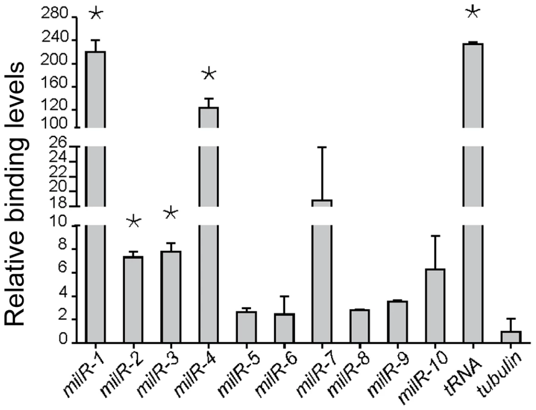Pol III specifically binds to milR loci.