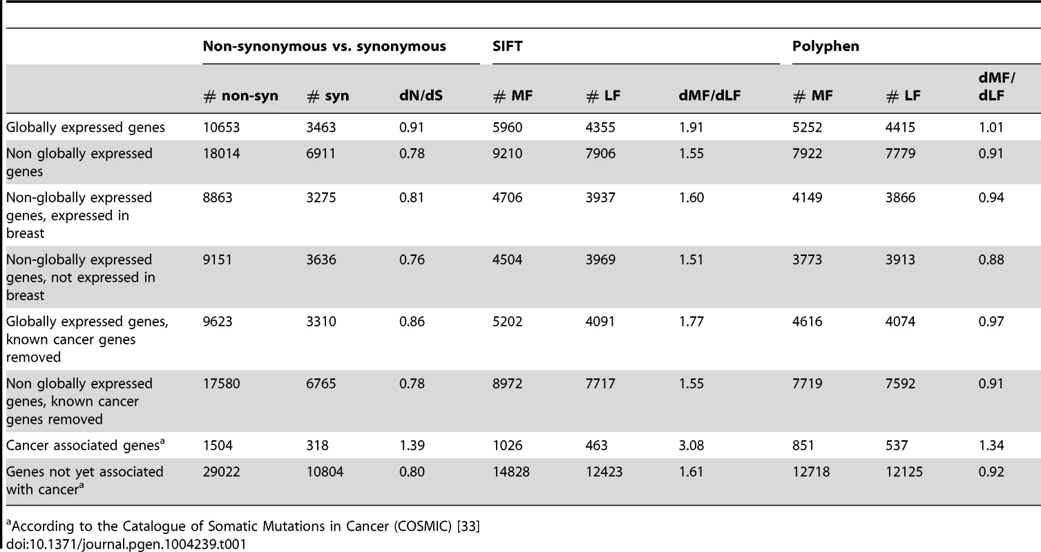 Globally expressed genes are enriched for functional BrCa somatic substitutions compared to genes that are not globally expressed.