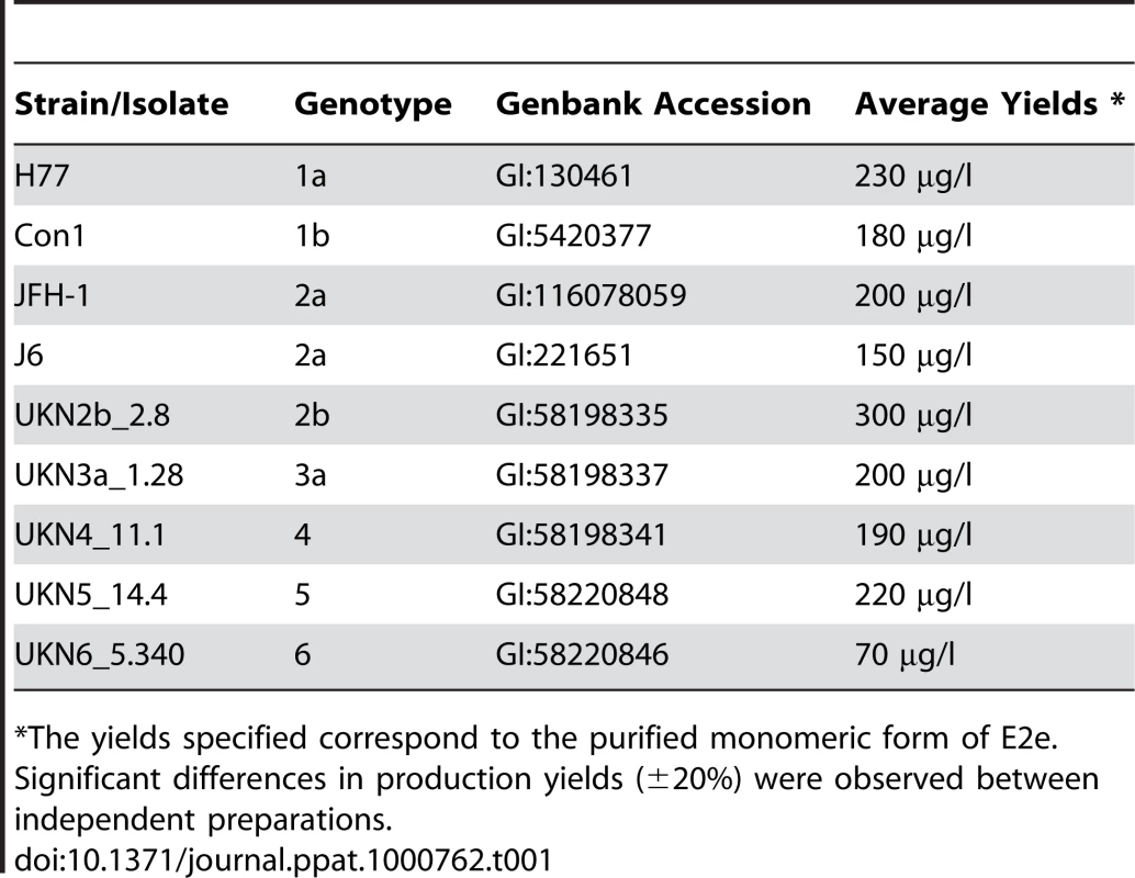 Production yields of E2e constructs from the 9 selected HCV isolates.