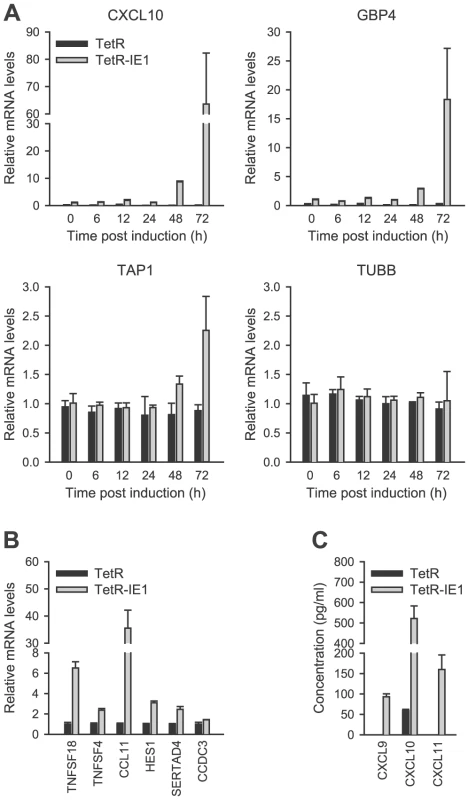 Confirmation of IE1-induced gene expression.