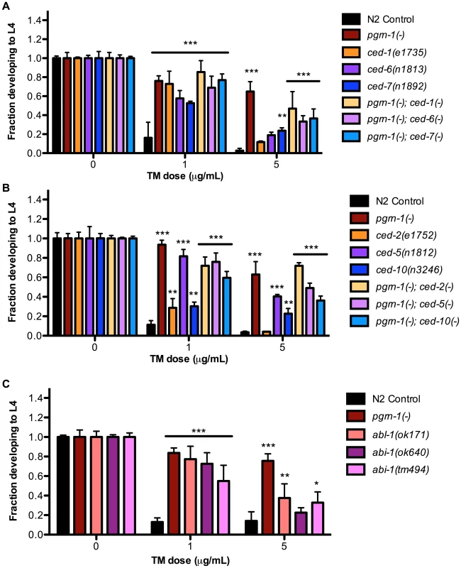 Engulfment mutations enhance ER stress resistance.