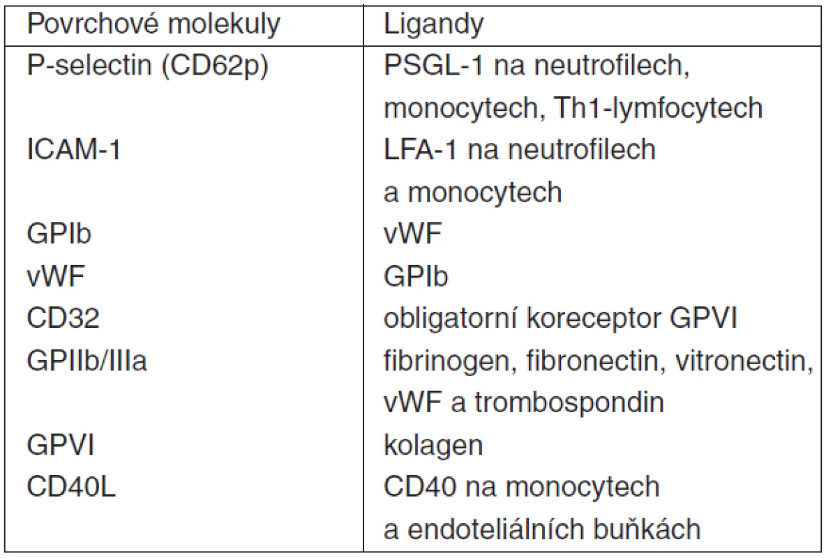 Vybrané membránové receptory při intercelulárních interakcích trombocytů