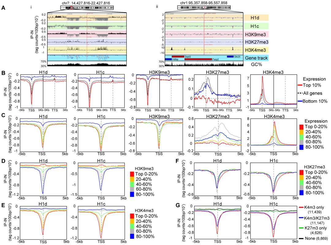 H1 is depleted at GC-rich, gene-rich regions and TSSs of active promoters.
