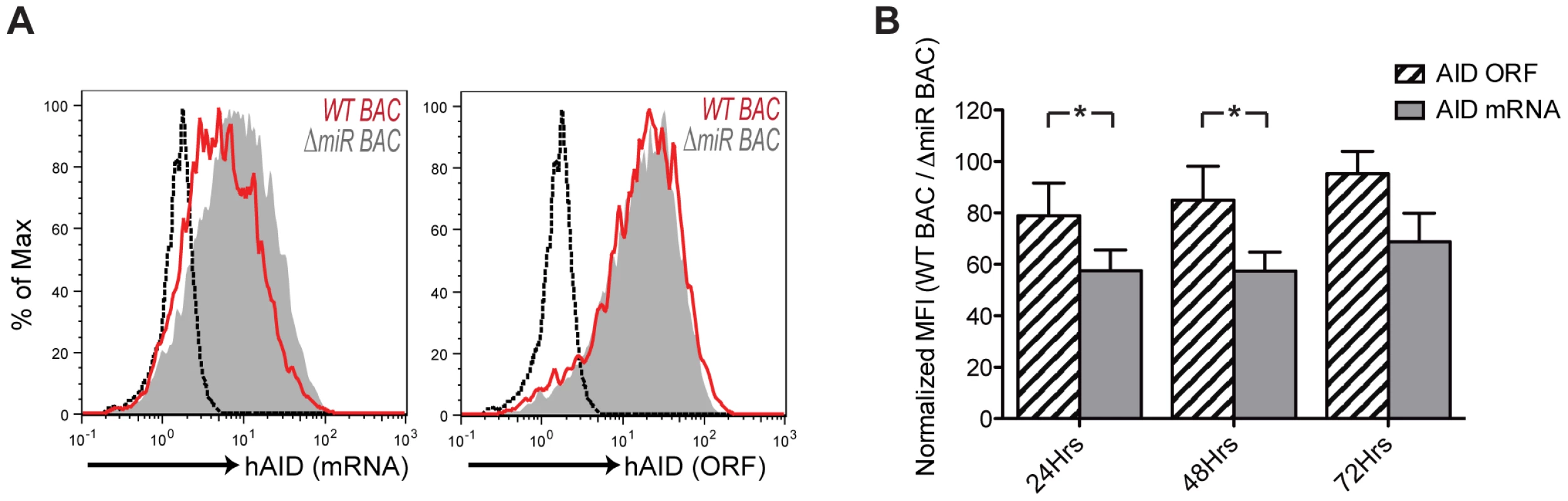 KSHV miRNAs downregulate AID in the context of the entire viral genome.