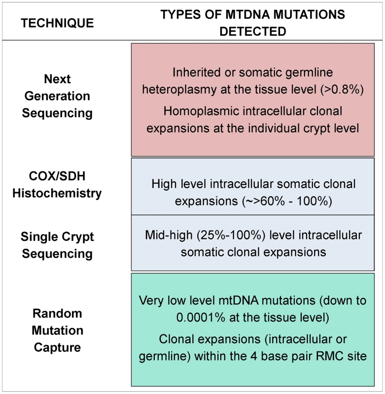 Schematic diagram showing the detection limits of each of the techniques utilised in this study.