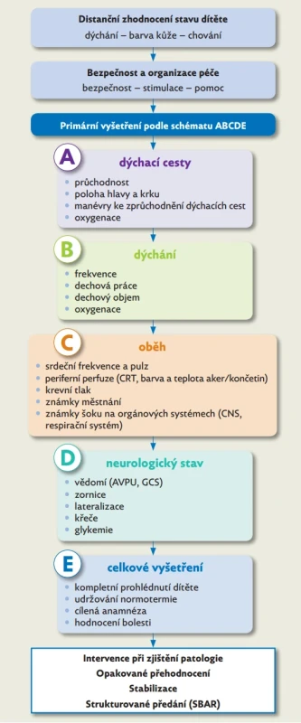 Schéma systematického primárního vyšetření kriticky nemocného dítěte podle principu ABCDE. Vyšetření probíhá sekvenčně, s okamžitým zahájením léčby při zjištění patologie a s opakovaným přehodnocováním klinického stavu. 