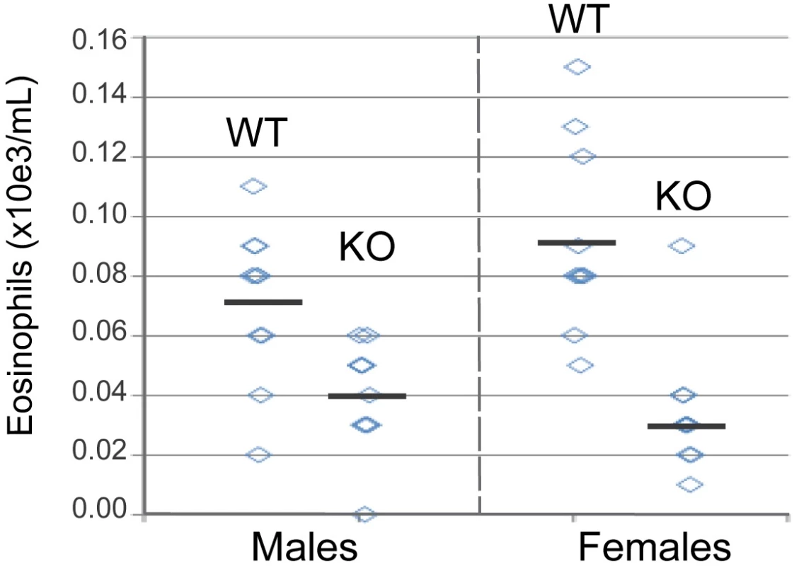 Blood eosinophil counts from wild type and <i>il33</i>-deficient mice.