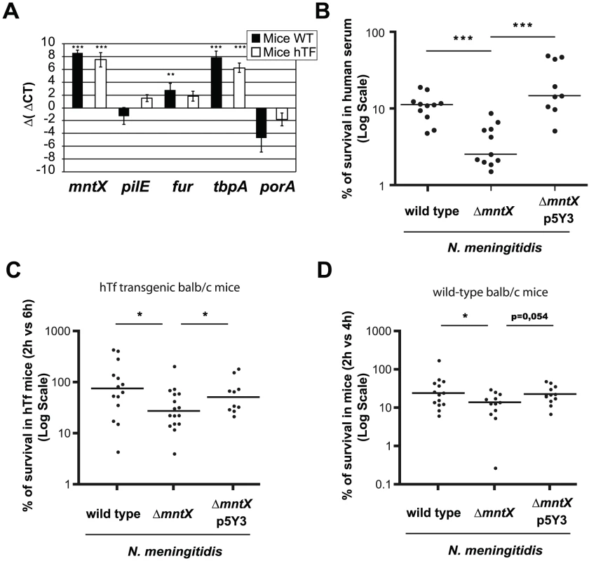 MntX is expressed during infection and is important to survive in serum.