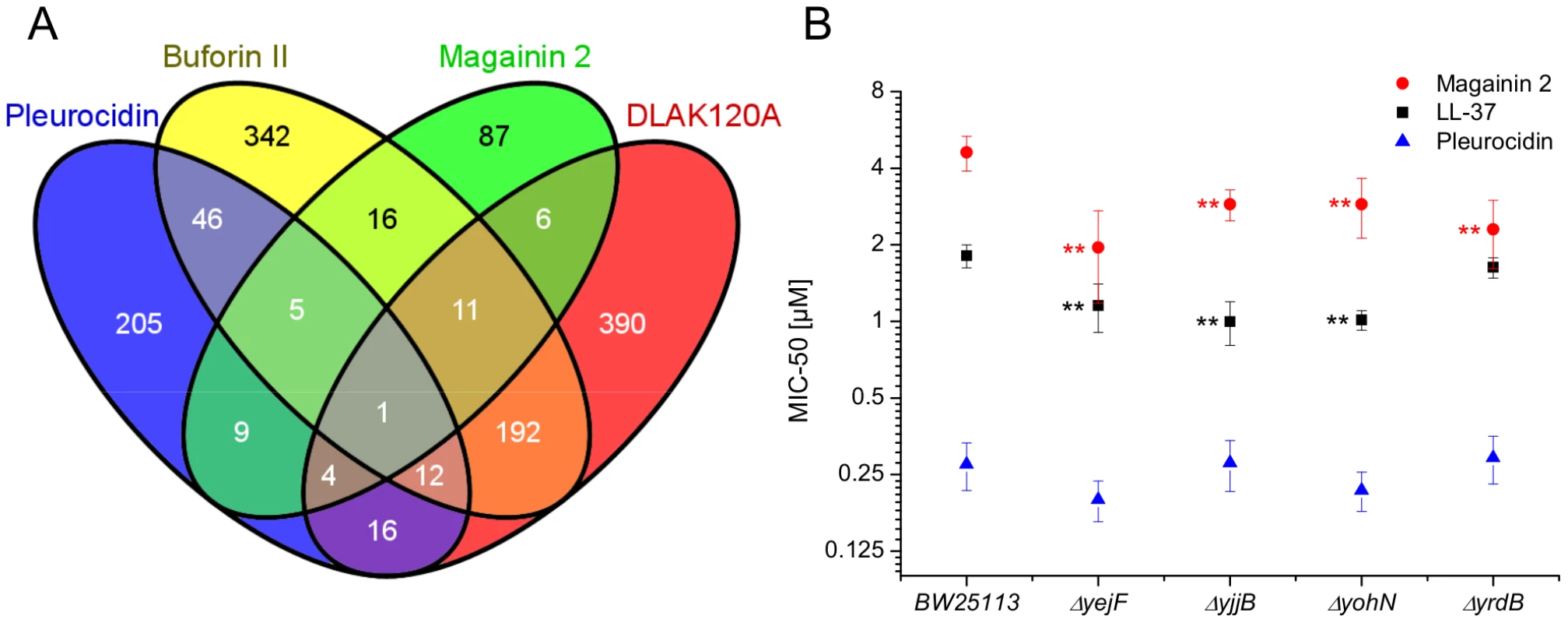 Transcript profiles and role of individual genes in response to AMP challenge.