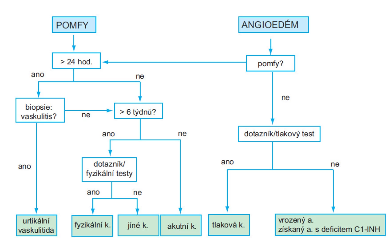 Doporučený diagnostický algoritmus
