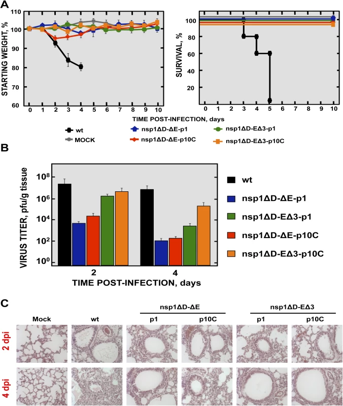 Virulence and virus growth of SARS-CoV including two safety guards.