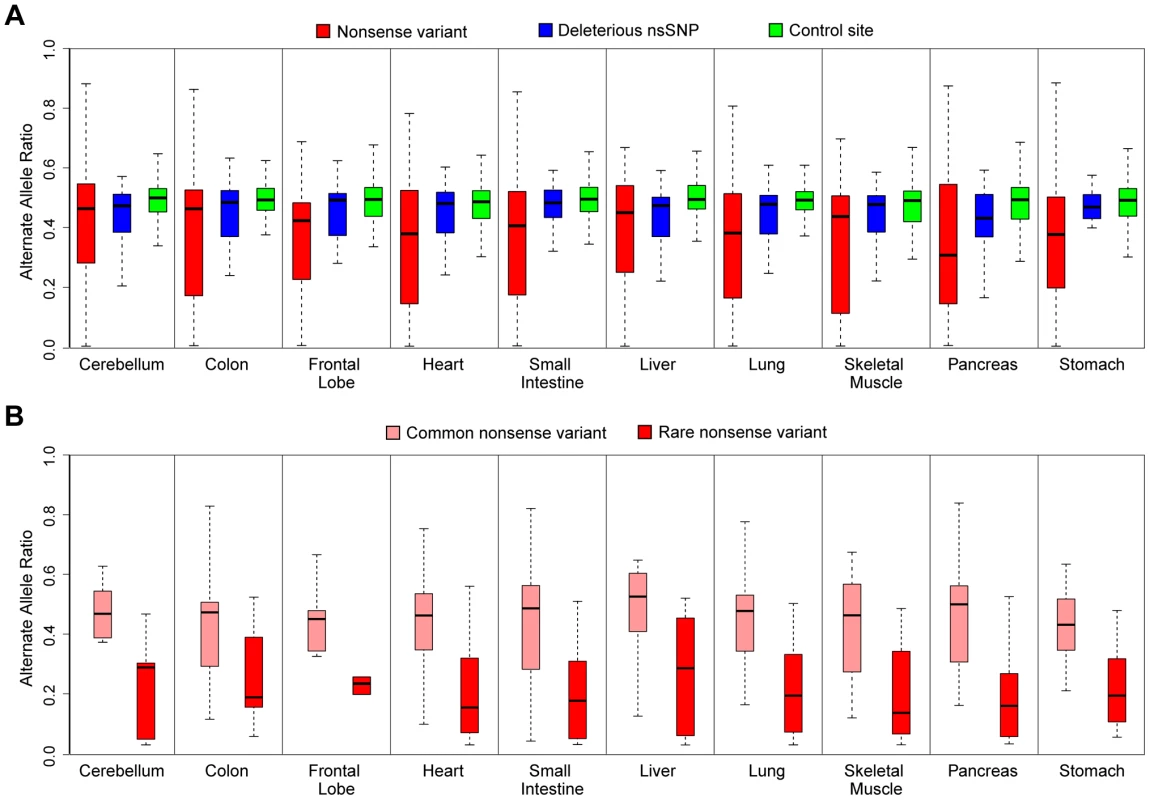 ASE analysis of rare deleterious nsSNPs and nonsense variants by mmPCR-Seq.