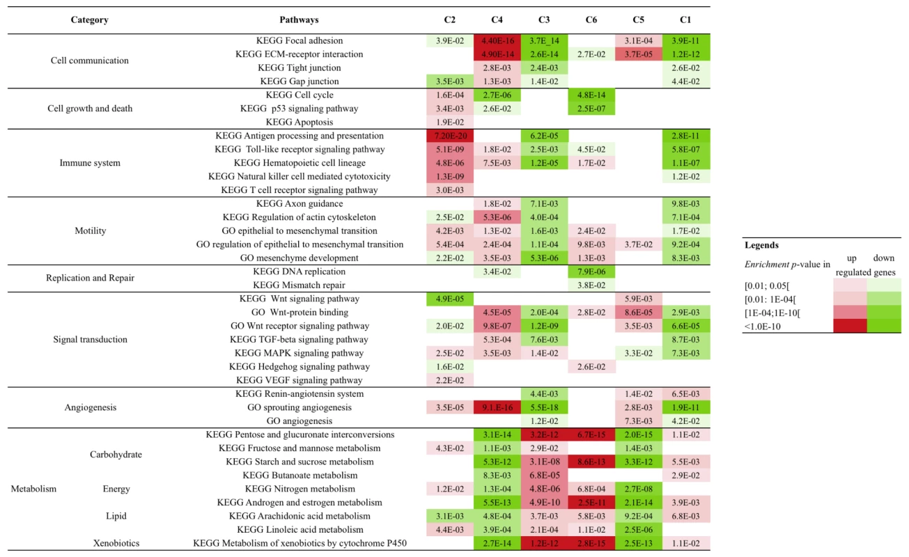 Signaling pathways associated with each molecular subtype.