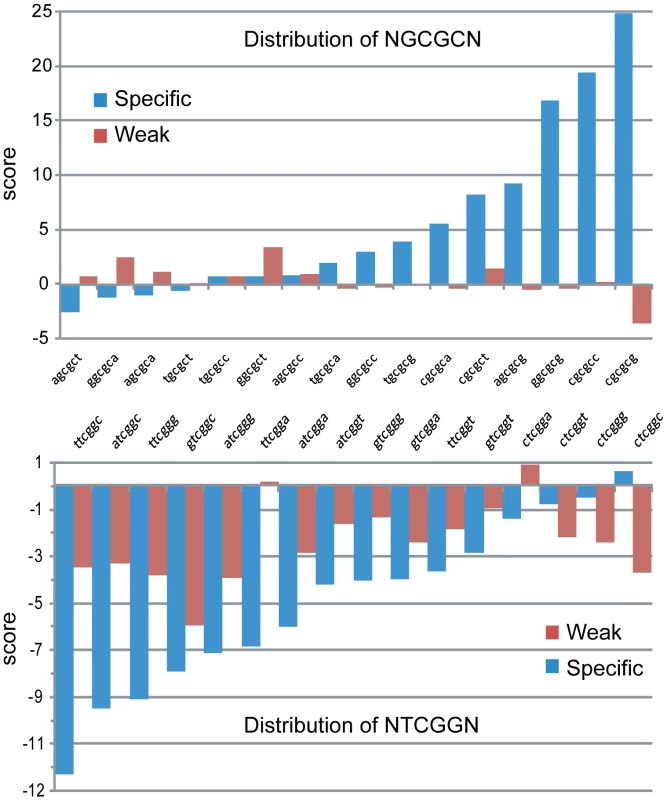 Human CpG islands show evidence of selection at methylation signature motifs.