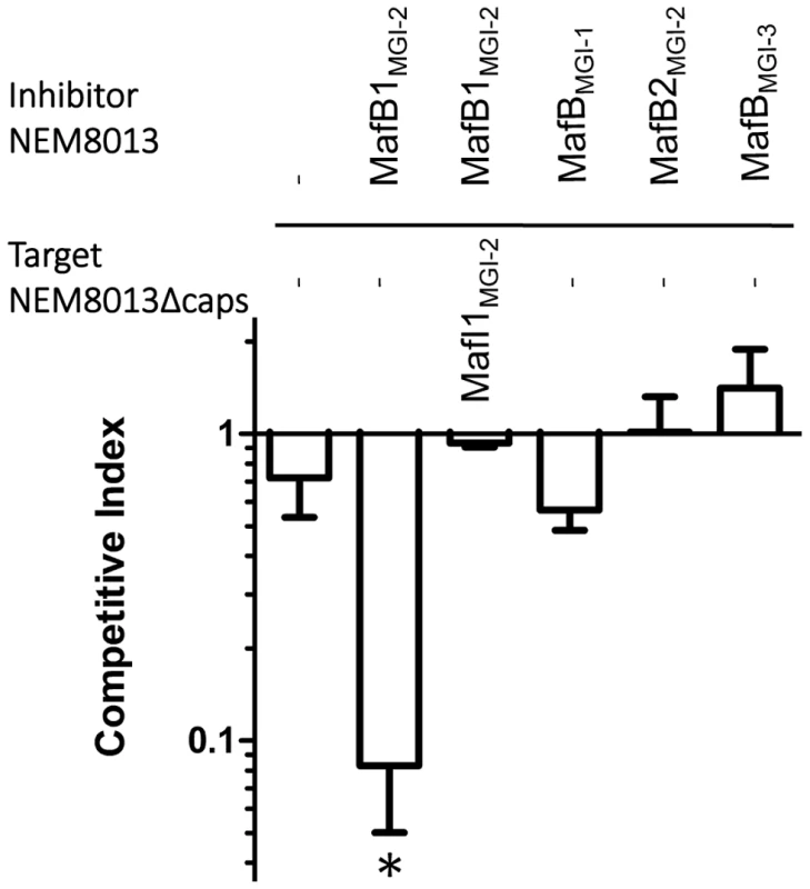 MafB1<sub>MGI-2NEM8013</sub> provides an advantage in competition assay.
