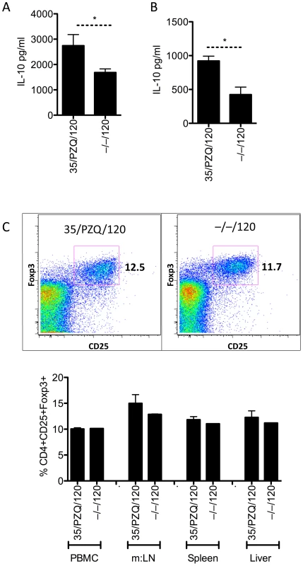 Elevated worm-specific IL-10 from spleen and mesenteric lymphnodes, with unchanged Foxp3+ cells.