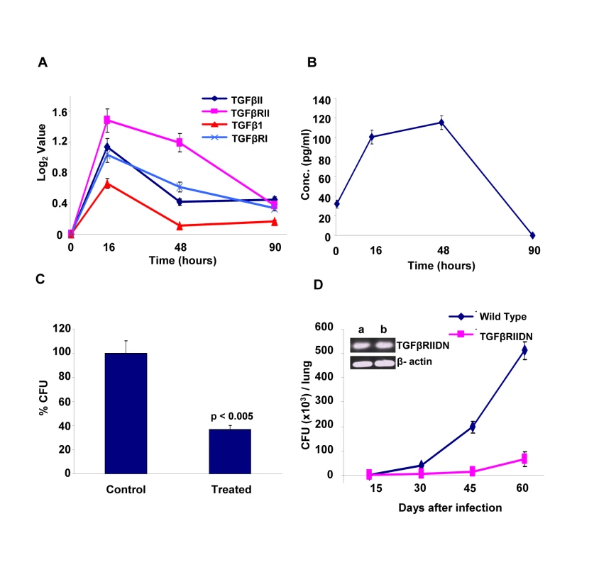 Mtb infection regulates levels of TGFβ and its receptor in host cells.