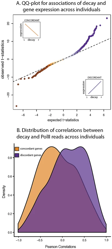 Relationship between gene expression levels and mRNA decay rates across individuals.