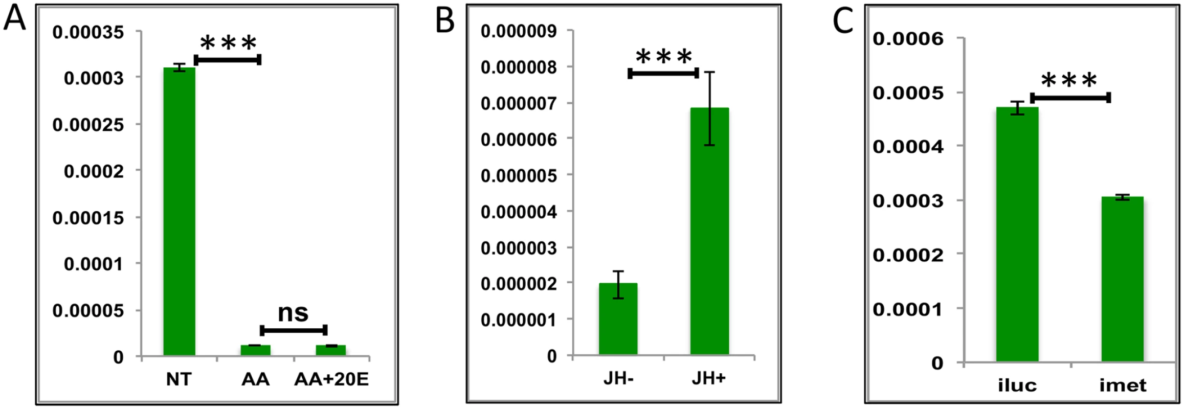 Effects of AAs, 20E and JH on representative LGs.