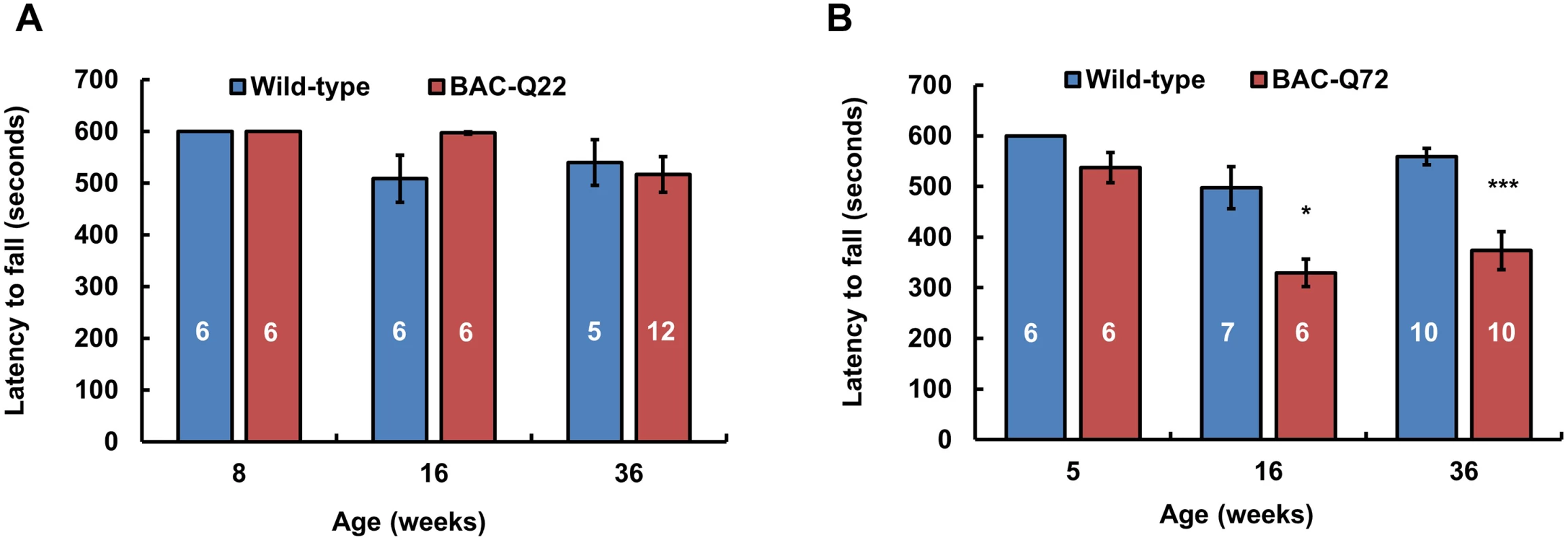 Motor phenotype of <i>ATXN2</i> BAC transgenic mice on the accelerating rotarod.