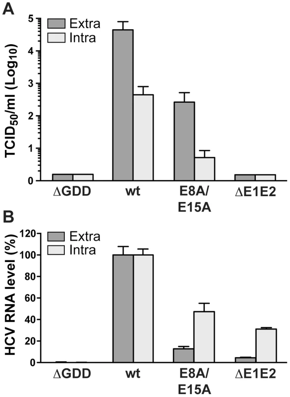 Alanine substitution of the conserved acidic residues on the hydrophilic side of NS4B AH1 affects virus production.