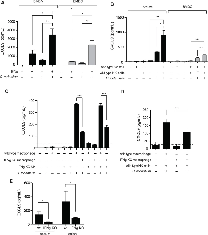 Macrophages require NK cells and IFNγ for optimal CXCL9 production.