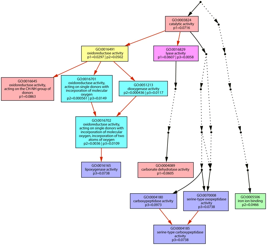 Graphic representation of Gene Ontology terms.