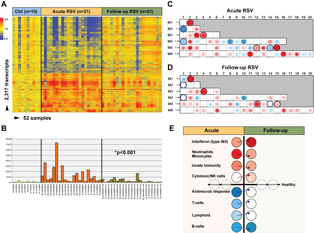 Blood host immune profiles remain altered 1 mo after acute RSV LRTI.