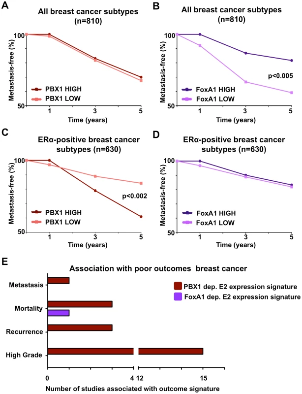 PBX1 is a novel prognostic marker for ERα positive breast cancers.