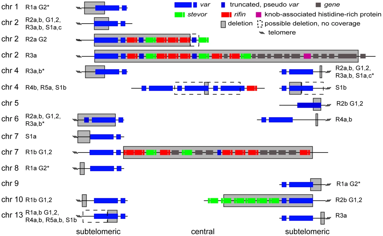 Distribution of deleted genes.