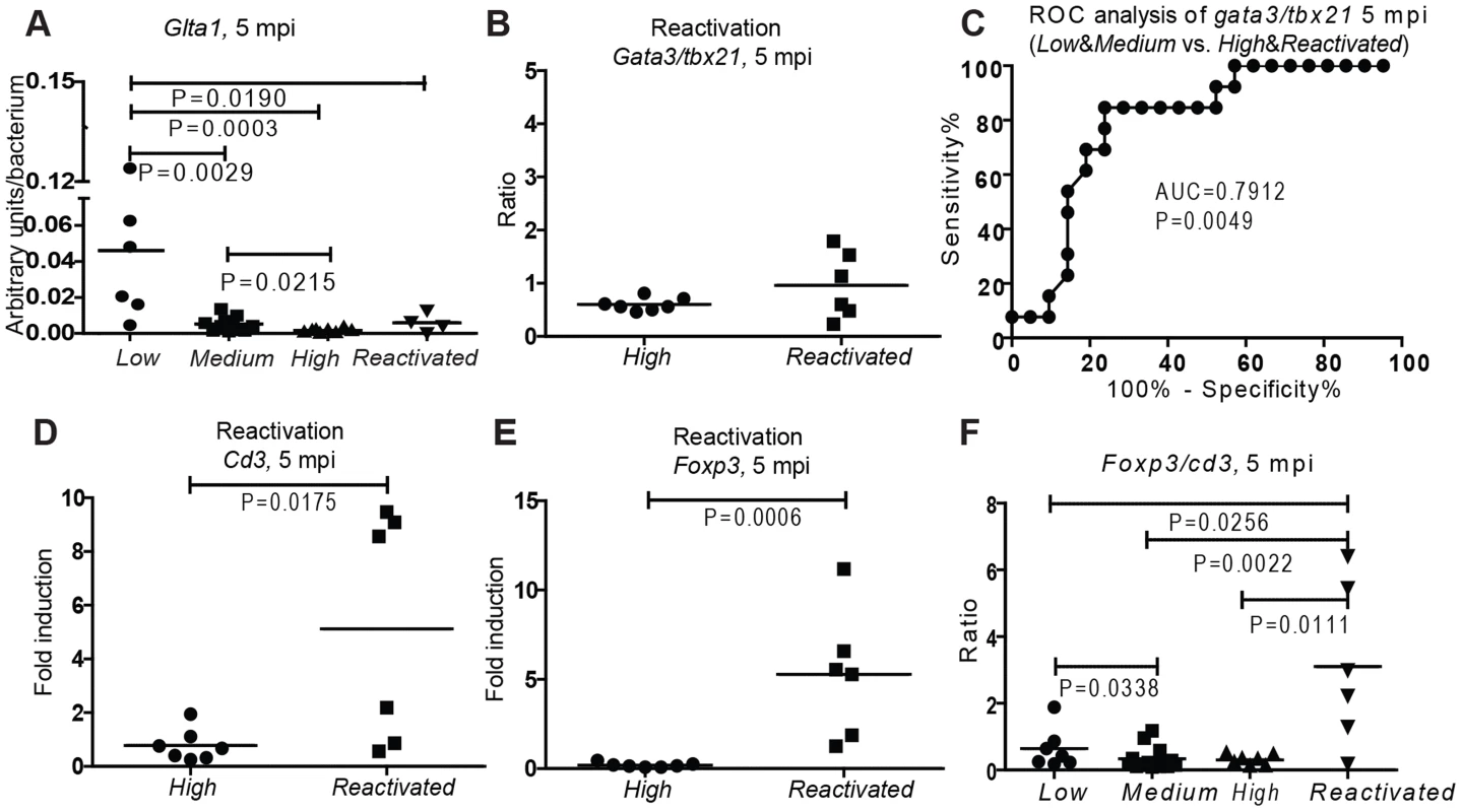Low Th2/Th1 and high Treg are associated with activity of disease at late-stage mycobacterial infection.