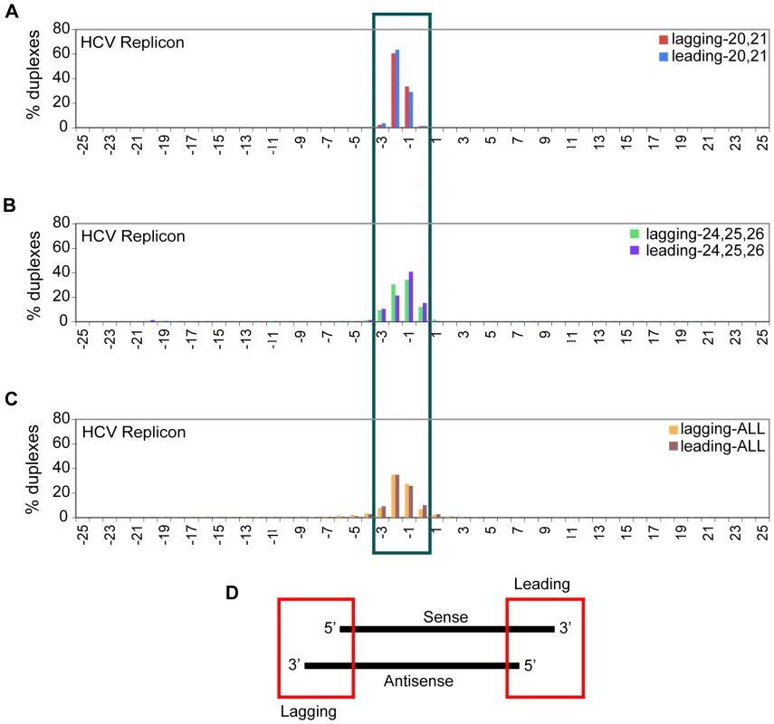 Sub-populations of sense and antisense vsRNAs exist in duplexes with canonical 1–2 nt 3′ overhangs.