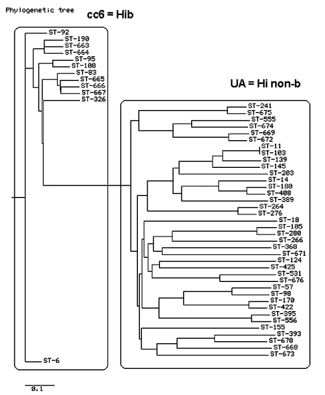 Genetická příbuznost sekvenčních typů zjištěných u 207 izolátů H. influenzae Analýza SPLIT TREE, Česká republika, 2001–2009
Fig. 1. Genetic relatedness of sequence types identified in 207 H. influenzae isolates SPLIT TREE analysis, Czech Republic, 2001–2009