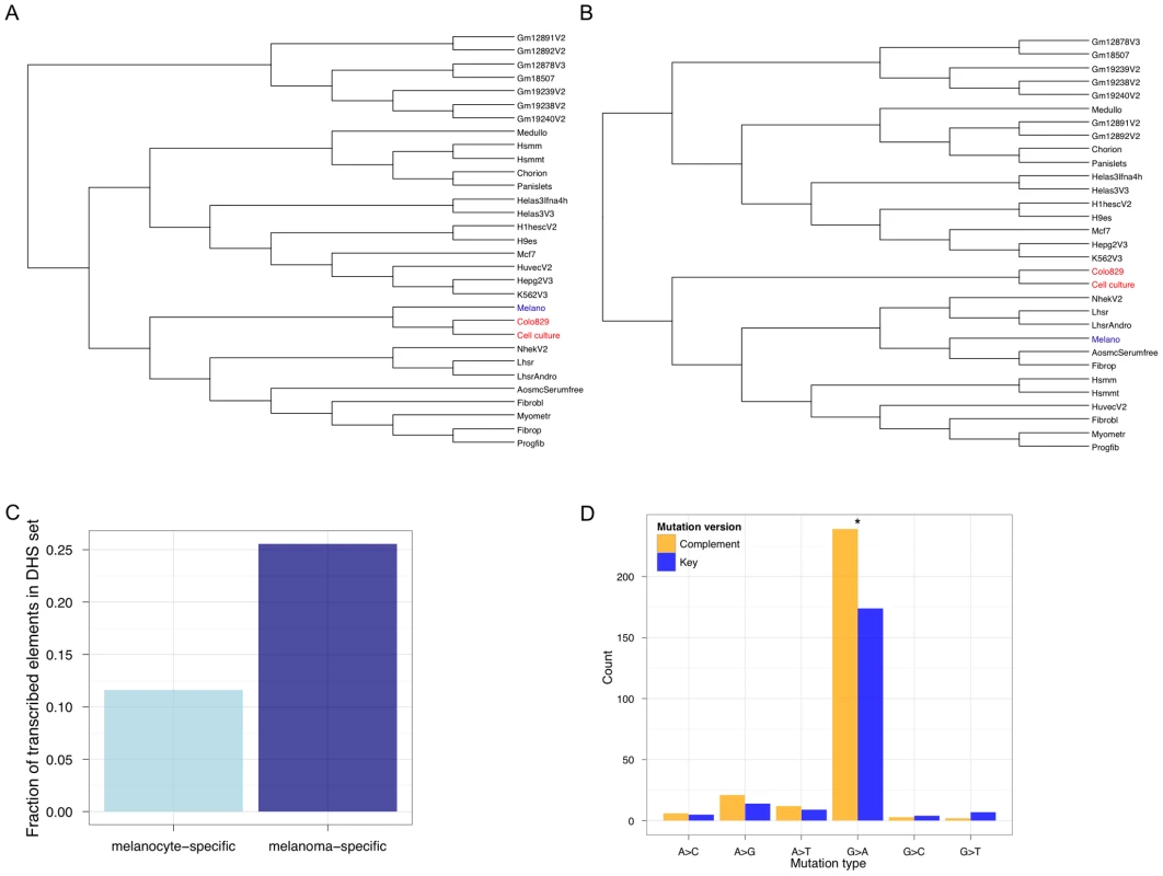 The regulatory signature of metastatic melanoma.