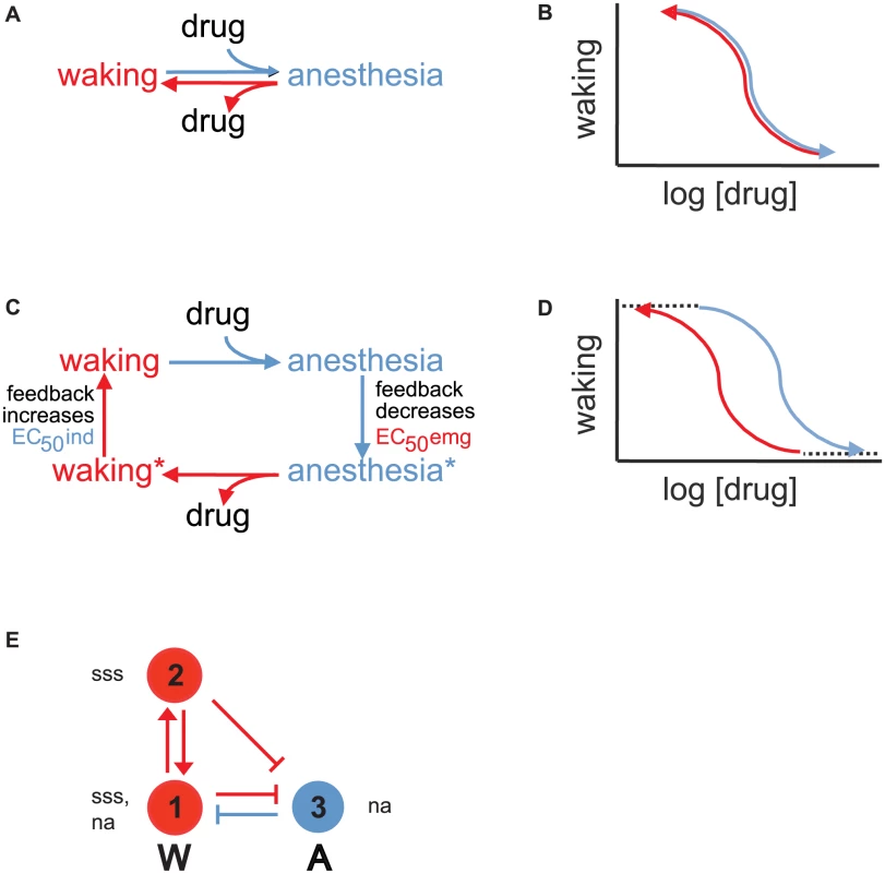 Models of anesthesia depend on feedback underlying bistability.