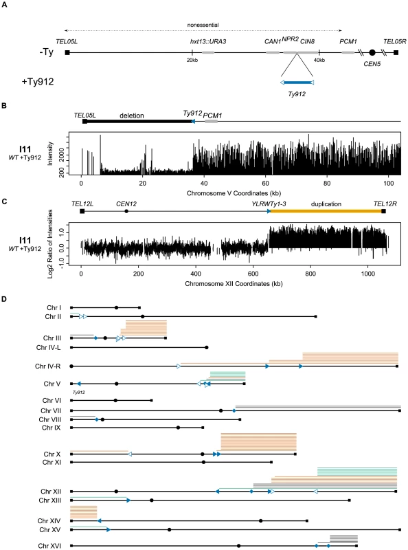 Assay model and a summary of the aCGH data.