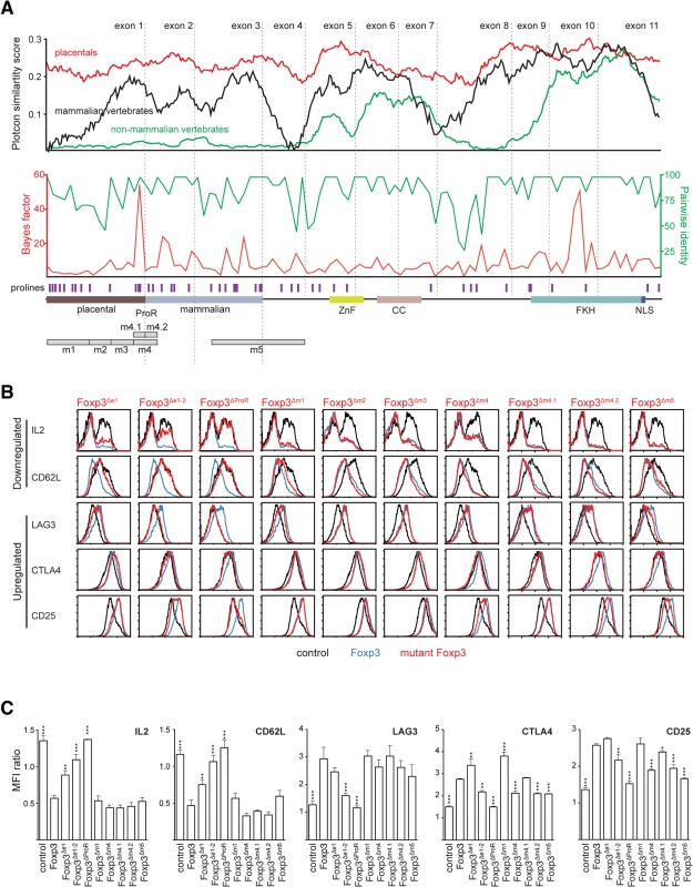 Mutational dissection of ProR of Foxp3 reveals distinct mechanisms of gene regulation.