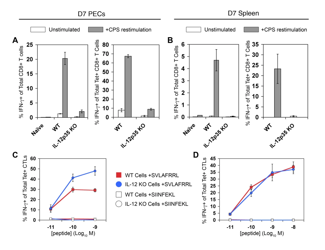 Tgd057-specific CTLs primed in <i>Il12a</i><sup>−/−</sup> mice do not produce IFN-γ in response to parasite restimulation.