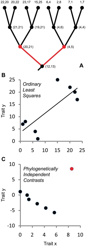 Ignoring phylogenetic history can lead to incorrect conclusions about the nature of evolutionary associations between traits.